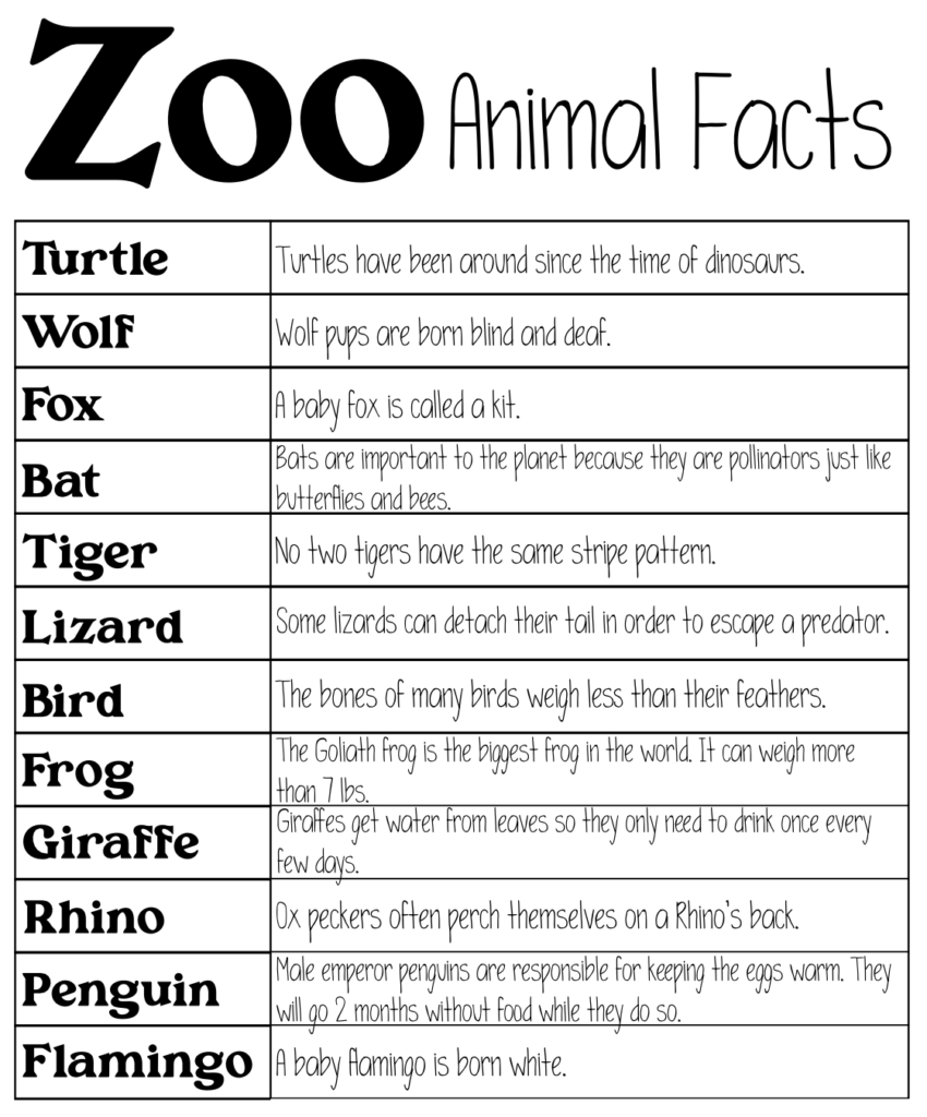 FREE Zoo Scavenger Hunt Printable For Kids