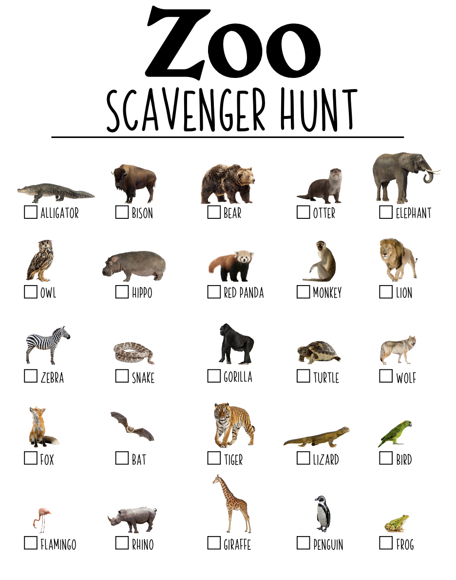 Scavenger Hunts